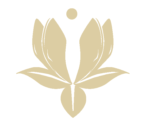 La Bella Medispa logo simplifed